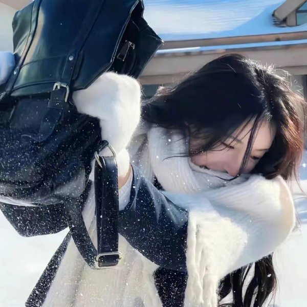 深宫劫之凤鸣九天